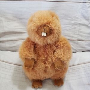 Gund Kohl's Cares Orange Brown Beaver 9" Plush Stuffed Animal #44188 Fuzzy